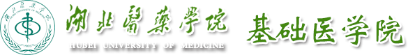 7790必发集团